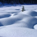 mare di neve sulle maddalene