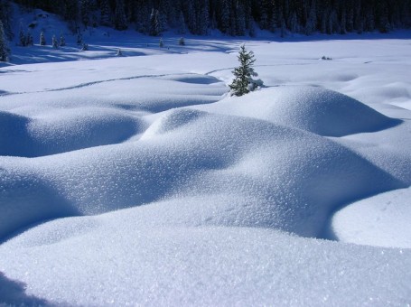 mare di neve sulle maddalene