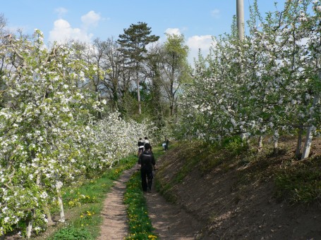 escursione al canyon di santa giustina_meli in fiore_val di non_pineta hotels_wellness hotel trentino189 (2)