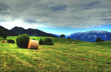 Predaia altipiano_val di non_trentino